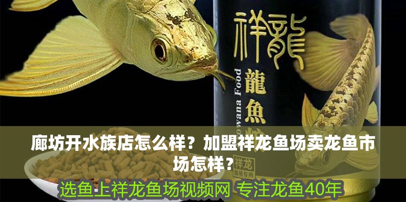 廊坊開水族店怎么樣？加盟祥龍魚場賣龍魚市場怎樣？ 廊坊開水族店怎么樣？加盟祥龍魚場賣龍魚市場怎樣？ 水族館百科（水族館加盟）