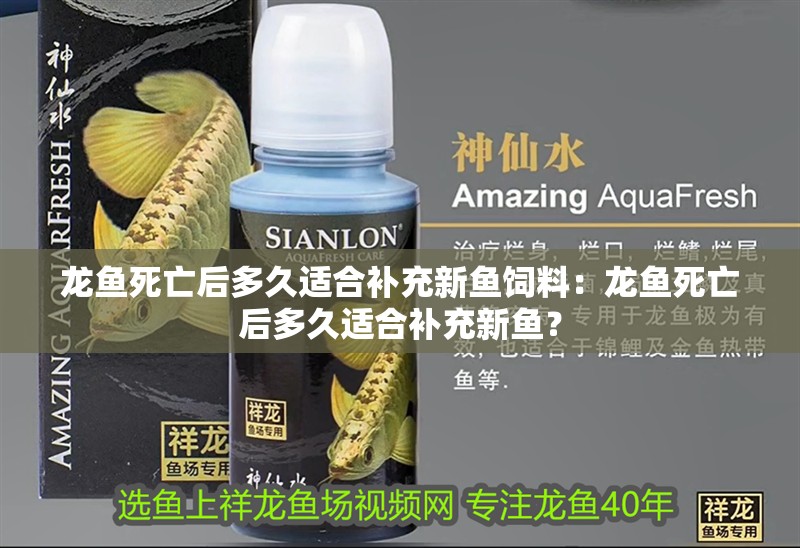 龍魚死亡后多久適合補充新魚飼料：龍魚死亡后多久適合補充新魚？ 龍魚死亡后多久適合補充新魚飼料：龍魚死亡后多久適合補充新魚？ 水族問答