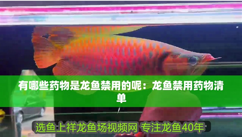 魚缸過濾器選購指南:自制魚缸過濾器魚缸上置過濾器對于養魚愛好者的必備知識 有哪些藥物是龍魚禁用的呢:龍魚禁用藥物清單 水族問答 有哪些藥物是龍魚禁用的呢:龍魚禁用藥物清單 有哪些藥物是龍魚禁用的呢:龍魚禁用藥物清單 水族問答