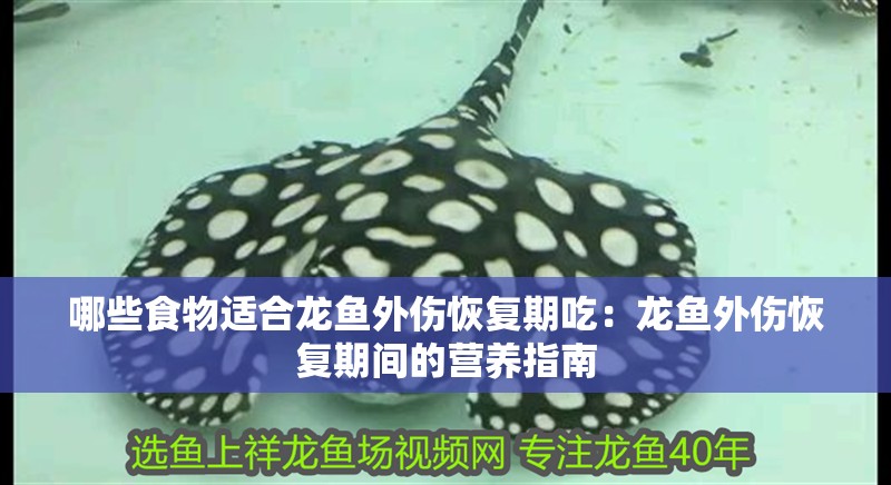 魚缸用增氧泵價格是多少:魚缸增氧機-xtrac增氧機-xtrac增氧機 哪些食物適合龍魚外傷恢復期吃:龍魚外傷恢復期間的營養指南 水族問答 哪些食物適合龍魚外傷恢復期吃:龍魚外傷恢復期間的營養指南 哪些食物適合龍魚外傷恢復期吃:龍魚外傷恢復期間的營養指南 水族問答