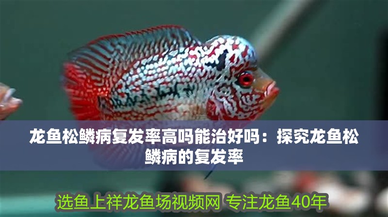 龍魚松鱗病復發(fā)率高嗎能治好嗎：探究龍魚松鱗病的復發(fā)率
