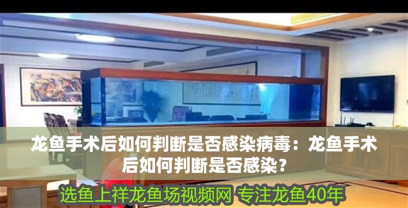 詳細閱讀:龍魚手術后如何判斷是否感染病毒:龍魚手術后如何判斷是否感染? 龍魚手術后如何判斷是否感染病毒:龍魚手術后如何判斷是否感染?