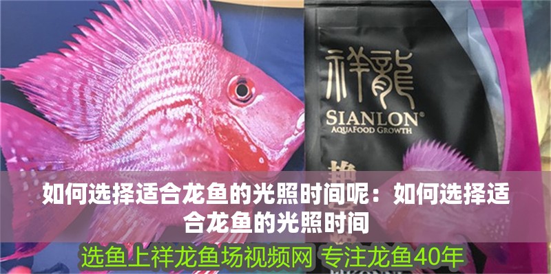 如何選擇適合龍魚的光照時(shí)間呢：如何選擇適合龍魚的光照時(shí)間
