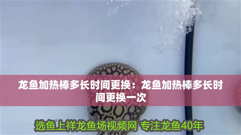 龍魚(yú)加熱棒多長(zhǎng)時(shí)間更換：龍魚(yú)加熱棒多長(zhǎng)時(shí)間更換一次