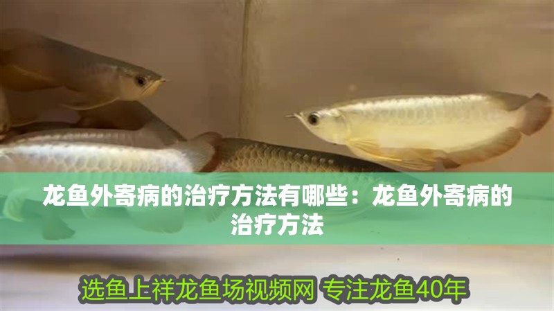 龍魚外寄病的治療方法有哪些：龍魚外寄病的治療方法