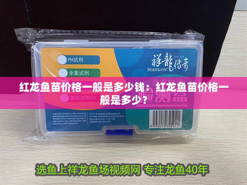 紅龍魚苗價格一般是多少錢：紅龍魚苗價格一般是多少？
