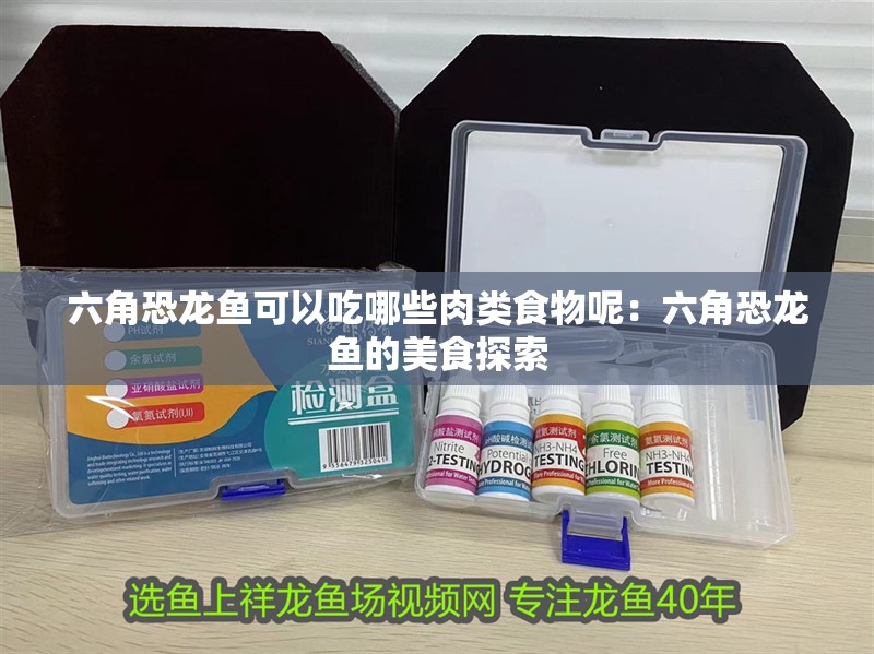 六角恐龍魚可以吃哪些肉類食物呢：六角恐龍魚的美食探索