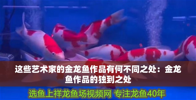 這些藝術家的金龍魚作品有何不同之處：金龍魚作品的獨到之處 這些藝術家的金龍魚作品有何不同之處：金龍魚作品的獨到之處 水族問答