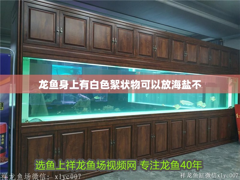 龍魚身上有白色絮狀物可以放海鹽不