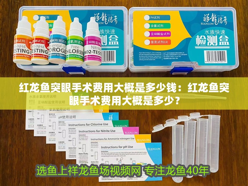 紅龍魚突眼手術費用大概是多少錢：紅龍魚突眼手術費用大概是多少？