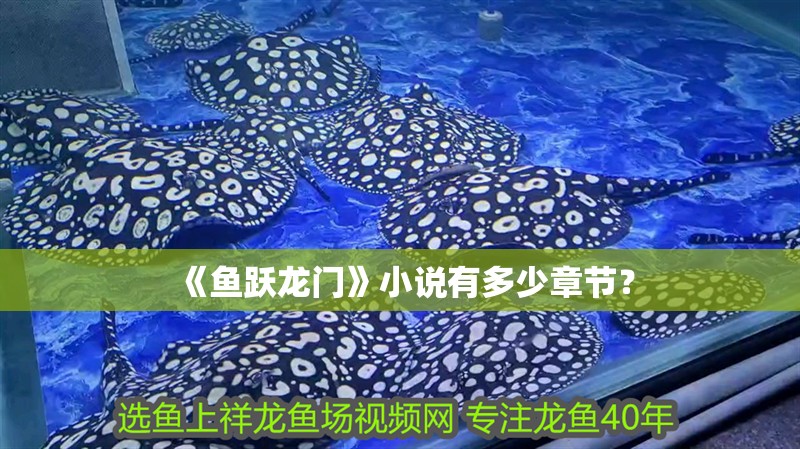 《魚躍龍門》小說有多少章節？