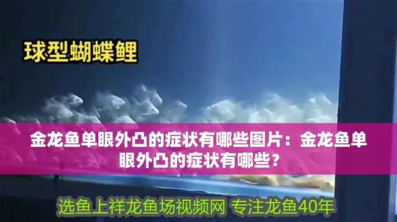 金龍魚單眼外凸的癥狀有哪些圖片：金龍魚單眼外凸的癥狀有哪些？