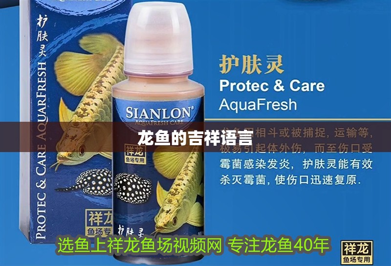 龍魚的吉祥語言