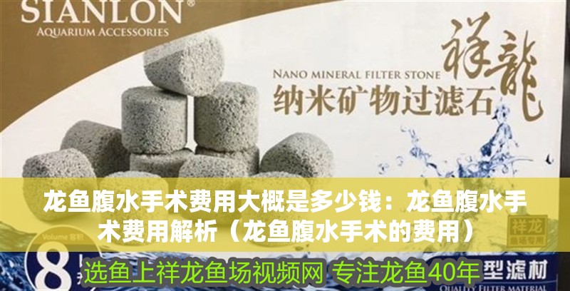 龍魚腹水手術費用大概是多少錢：龍魚腹水手術費用解析（龍魚腹水手術的費用）