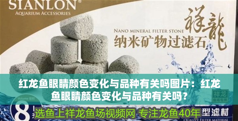 紅龍魚眼睛顏色變化與品種有關(guān)嗎圖片：紅龍魚眼睛顏色變化與品種有關(guān)嗎？