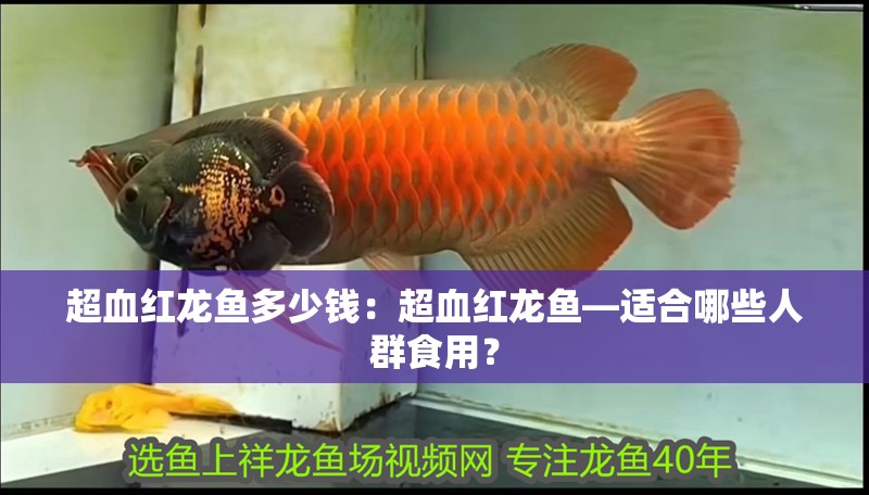 超血紅龍魚多少錢：超血紅龍魚—適合哪些人群食用？