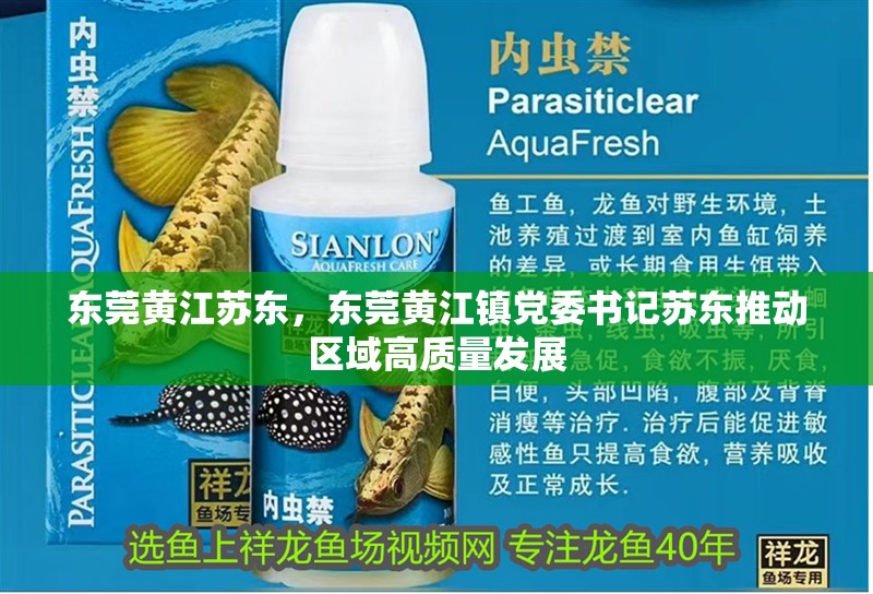 東莞黃江蘇東，東莞黃江鎮黨委書記蘇東推動區域高質量發展