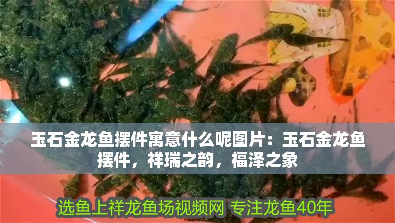 玉石金龍魚擺件寓意什么呢圖片：玉石金龍魚擺件，祥瑞之韻，福澤之象
