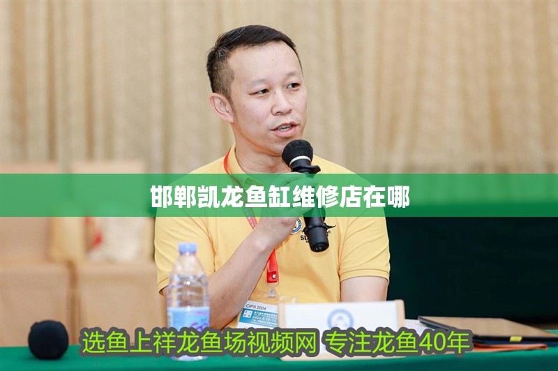 邯鄲凱龍魚缸維修店在哪