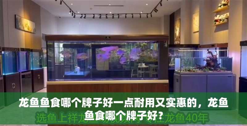 龍魚魚食哪個牌子好一點耐用又實惠的，龍魚魚食哪個牌子好？