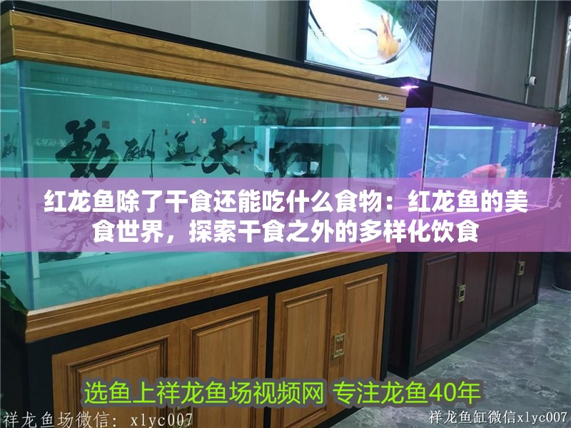 金龍魚吃什么魚苗長得快：金龍魚吃什么魚苗長的快