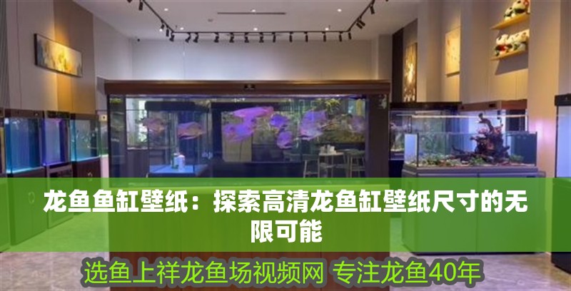 龍魚魚缸壁紙：探索高清龍魚缸壁紙尺寸的無限可能