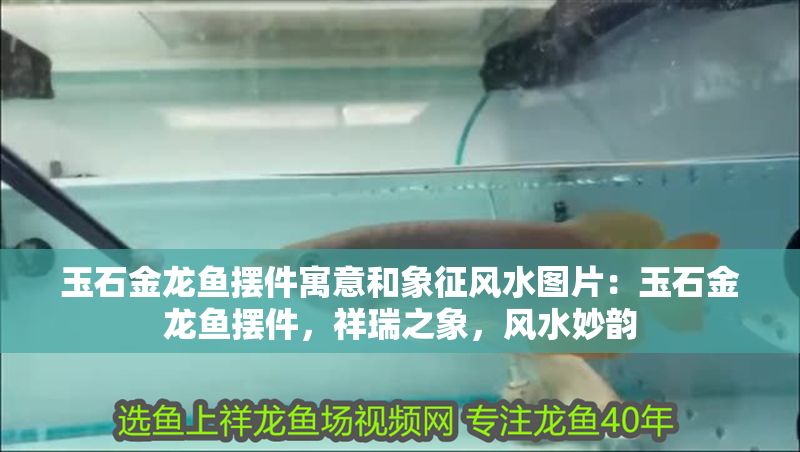 玉石金龍魚擺件寓意和象征風水圖片：玉石金龍魚擺件，祥瑞之象，風水妙韻