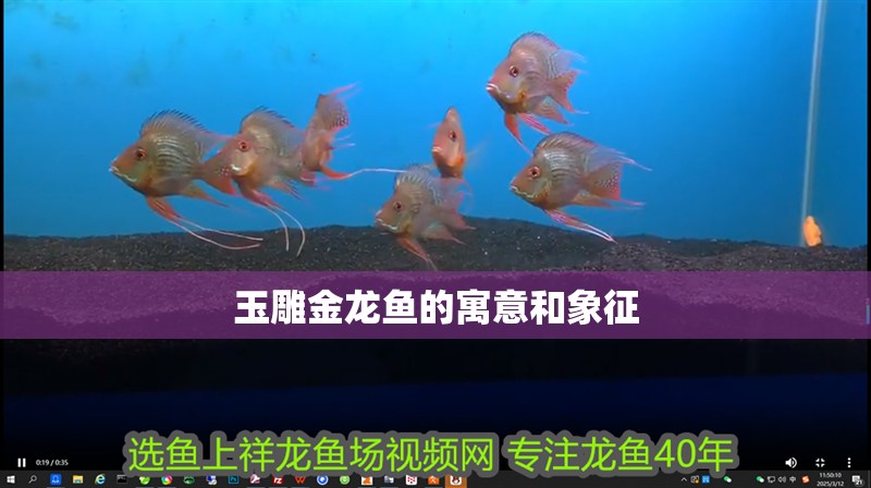 龍魚(yú)干蝦有營(yíng)養(yǎng)嗎 玉雕金龍魚(yú)的寓意和象征 龍魚(yú)百科 玉雕金龍魚(yú)的寓意和象征 玉雕金龍魚(yú)的寓意和象征 龍魚(yú)百科