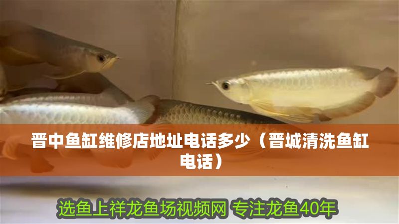 晉中魚缸維修店地址電話多少（晉城清洗魚缸電話）