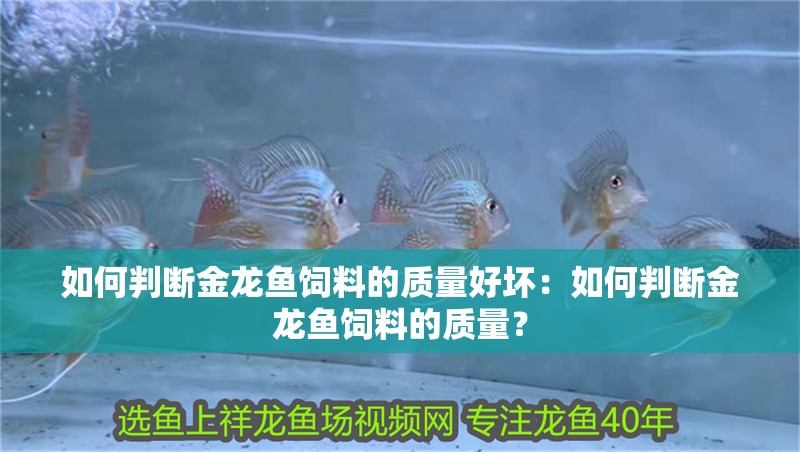 如何判斷金龍魚飼料的質(zhì)量好壞：如何判斷金龍魚飼料的質(zhì)量？