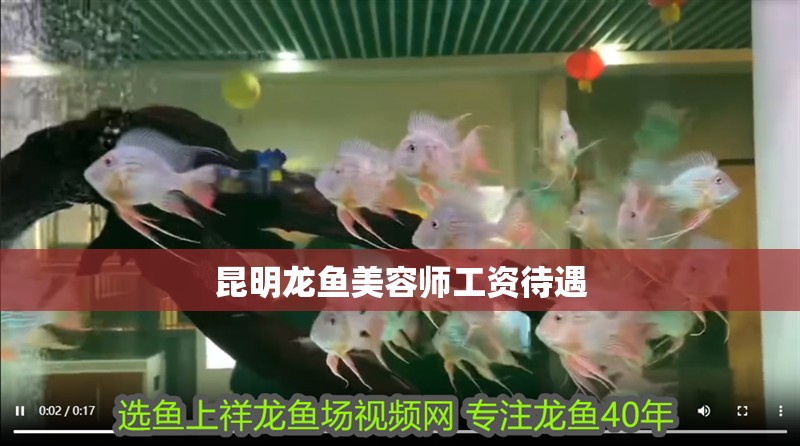 昆明龍魚美容師工資待遇