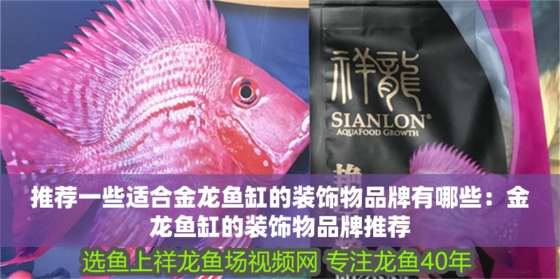 推薦一些適合金龍魚缸的裝飾物品牌有哪些：金龍魚缸的裝飾物品牌推薦