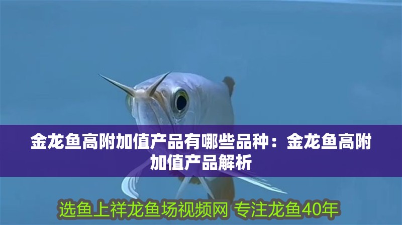 金龍魚高附加值產(chǎn)品有哪些品種：金龍魚高附加值產(chǎn)品解析