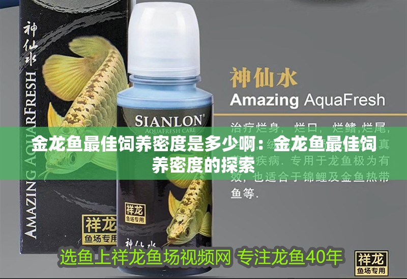 金龍魚最佳飼養密度是多少啊：金龍魚最佳飼養密度的探索