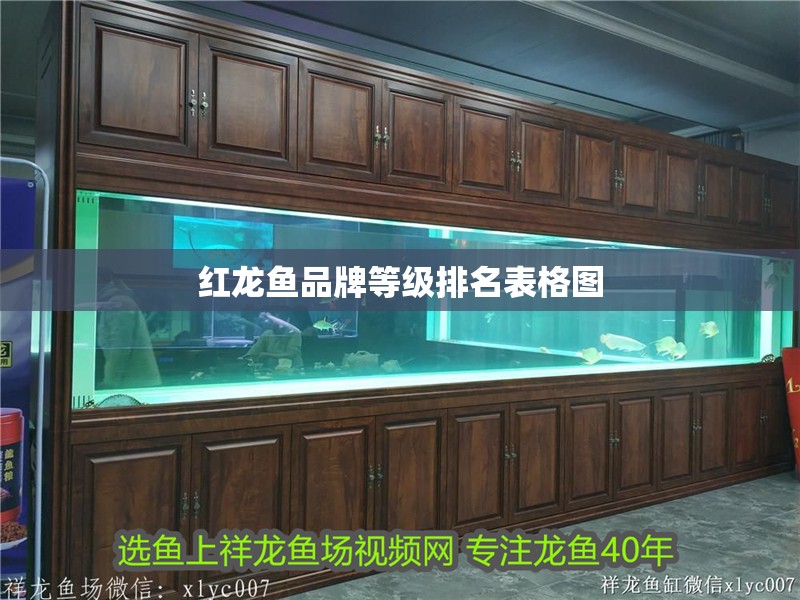 紅龍魚品牌等級排名表格圖