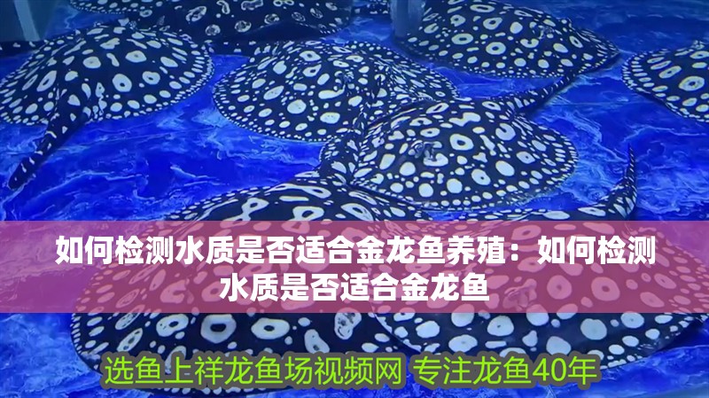 如何檢測水質是否適合金龍魚養殖：如何檢測水質是否適合金龍魚