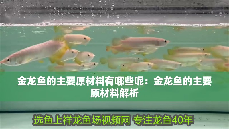 金龍魚(yú)的主要原材料有哪些呢：金龍魚(yú)的主要原材料解析