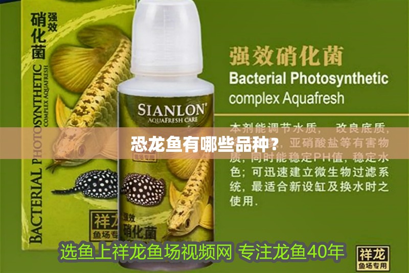 恐龍魚有哪些品種？