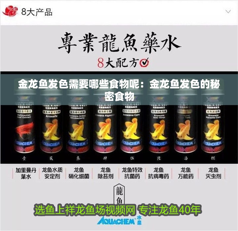 金龍魚發(fā)色需要哪些食物呢：金龍魚發(fā)色的秘密食物