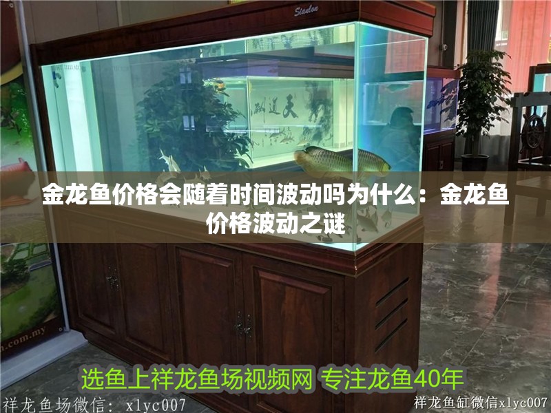 金龍魚價格會隨著時間波動嗎為什么：金龍魚價格波動之謎