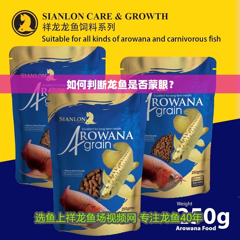 給大魚缸換水的作文:體驗給大魚缸換水的樂趣:體驗給大魚缸換水:給大魚缸換水的作文 如何判斷龍魚是否蒙眼? 龍魚百科 如何判斷龍魚是否蒙眼? 如何判斷龍魚是否蒙眼? 龍魚百科