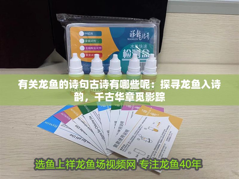 有關(guān)龍魚的詩句古詩有哪些呢：探尋龍魚入詩韻，千古華章覓影蹤