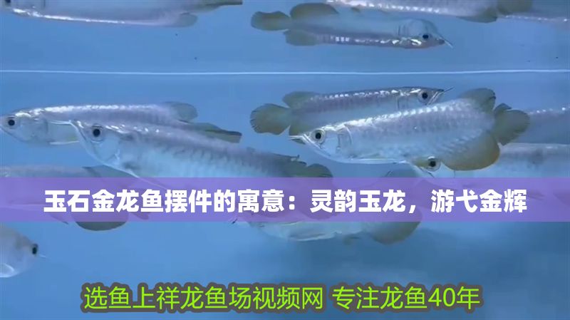 玉石金龍魚擺件的寓意:靈韻玉龍,游弋金輝 龍魚百科 第1張 玉石金龍魚擺件的寓意:靈韻玉龍,游弋金輝 玉石金龍魚擺件的寓意:靈韻玉龍,游弋金輝 龍魚百科 第1張