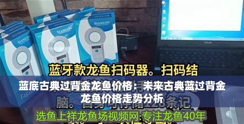 藍底古典過背金龍魚價格：未來古典藍過背金龍魚價格走勢分析