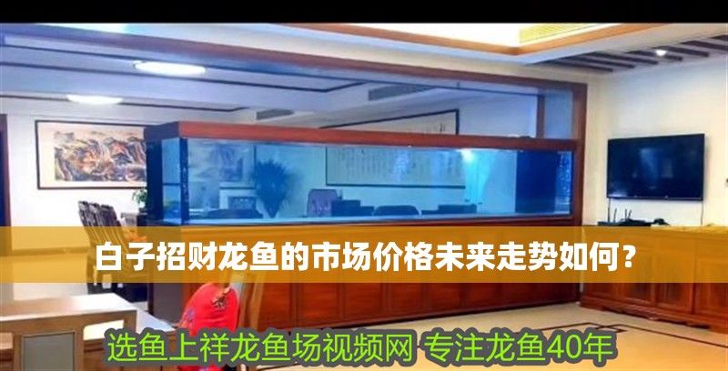 白子招財龍魚的市場價格未來走勢如何？