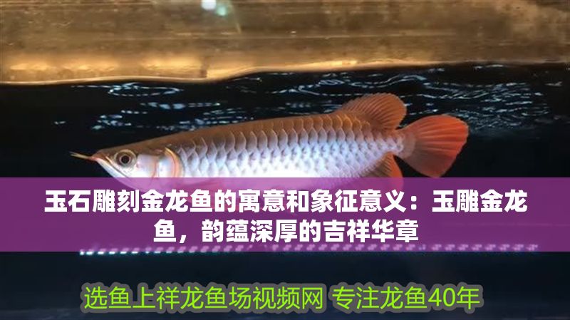 玉石雕刻金龍魚的寓意和象征意義：玉雕金龍魚，韻蘊深厚的吉祥華章