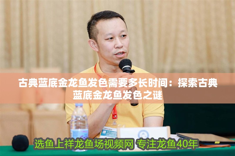 古典藍(lán)底金龍魚(yú)發(fā)色需要多長(zhǎng)時(shí)間：探索古典藍(lán)底金龍魚(yú)發(fā)色之謎