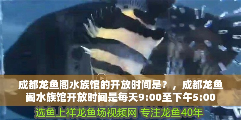 成都龍魚(yú)閣水族館的開(kāi)放時(shí)間是？，成都龍魚(yú)閣水族館開(kāi)放時(shí)間是每天9:00至下午5:00
