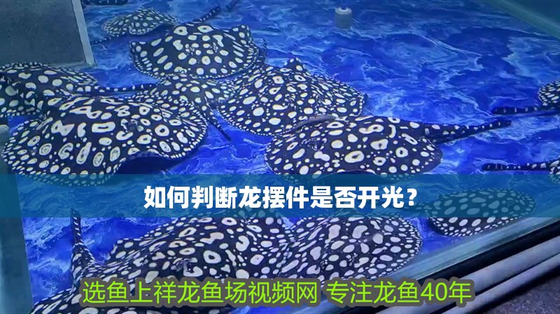 如何判斷龍擺件是否開光？