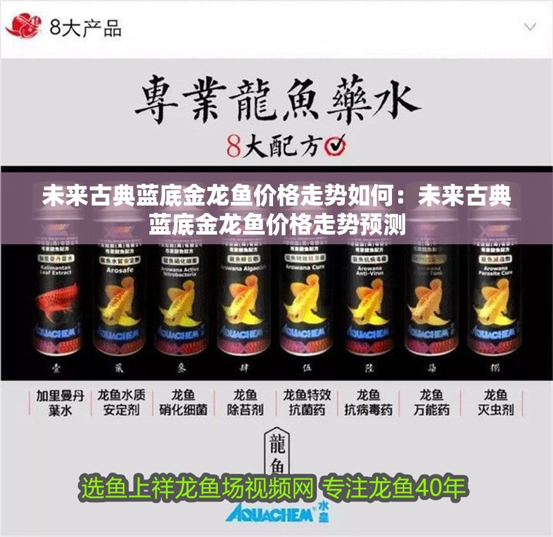 未來古典藍(lán)底金龍魚價(jià)格走勢如何：未來古典藍(lán)底金龍魚價(jià)格走勢預(yù)測